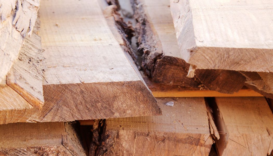 Erlebnisreise Holzfällerpatent