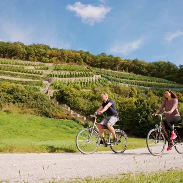Entdeckungsreise für den Gaumen